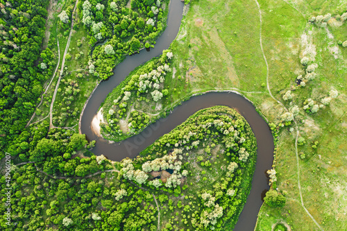 River in the meadows