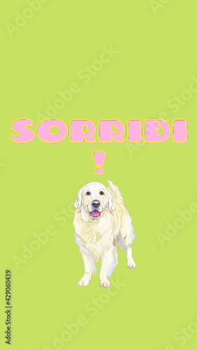 SORRIDI! DOG

Sfondo cellulare
1080px 1920px