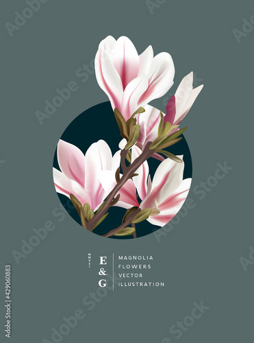 Pink and white natural magnolia realistic flowers contemporary layout design. Event marketing floral and plant background vector illustration.