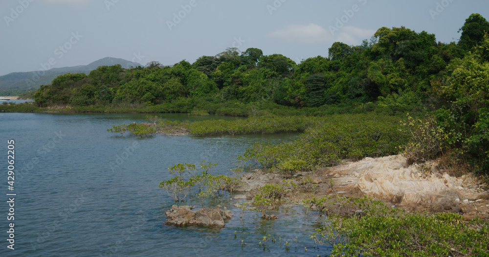 Yim Tin Tsai in Sai Kung Yim Tin Tsai in Sai Kung