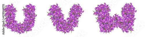 Letters U, V, W from lilac violets