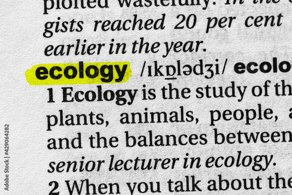 Highlighted word ecology concept and meaning. Highlighted word ecology concept and meaning.