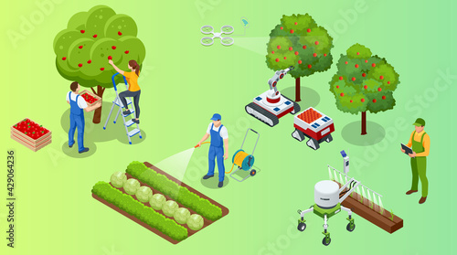 Isometric apple orchard, ripe fruits hanging on branch. Assembling the harvest of apples. Orange products. Organic Fresh Products, Premium Quality
