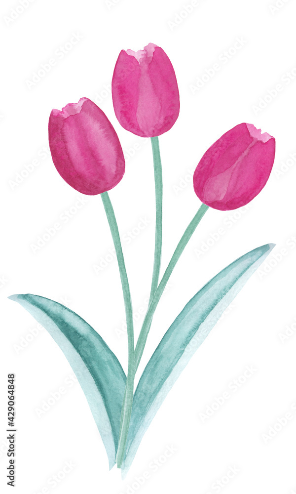 Obraz premium Spring tulips bouquet, abstract watercolor free-hand illustration for postcard, invitation, banner