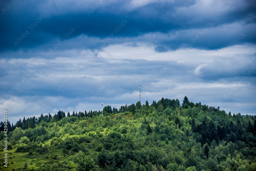 a landscape of the spruce forest at carpathian mountains, national park Skolivski beskidy, Lviv region of Western Ukraine