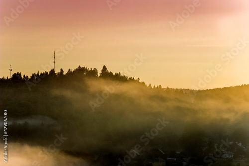 misty landscape with spruce carpathian forest before sunrise