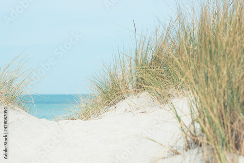 Fototapeta Naklejka Na Ścianę i Meble - Baltic sea dunes over blue coastline background