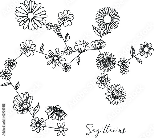 Zodiac floral constellation