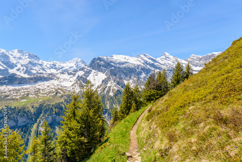 Fototapeta Naklejka Na Ścianę i Meble -  The Swiss Alps at Murren, Switzerland. Jungfrau Region. The valley of Lauterbrunnen from Interlaken.