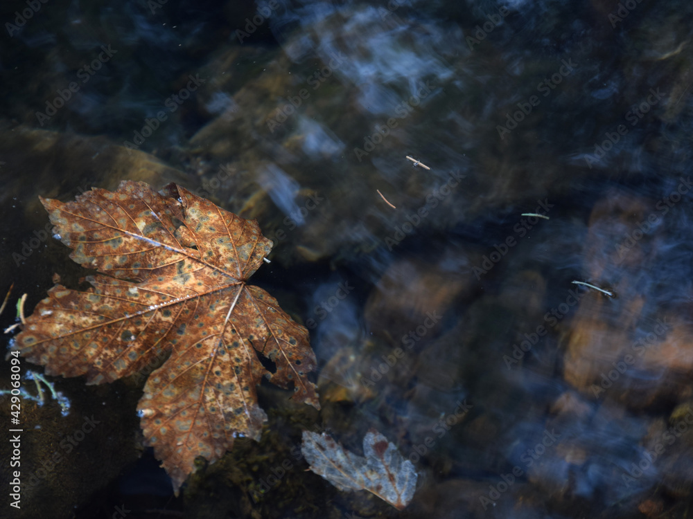 On the surface On the surface