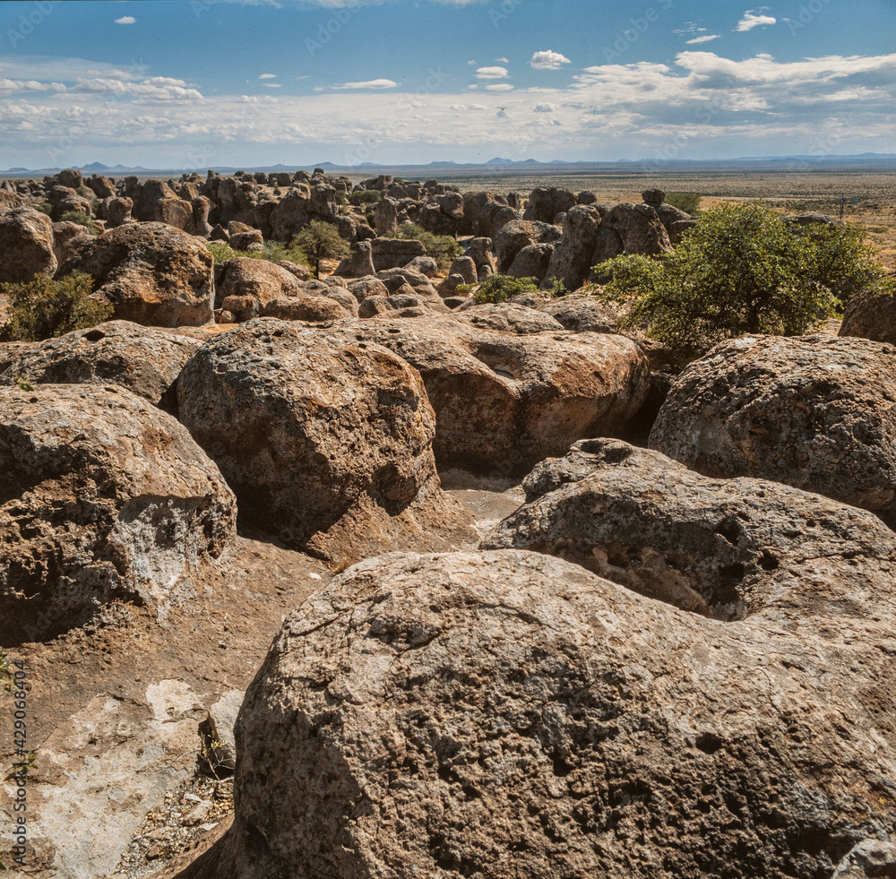 City of Rocks State Park New Mexico USA. Near Deming. Rocks in landscape.