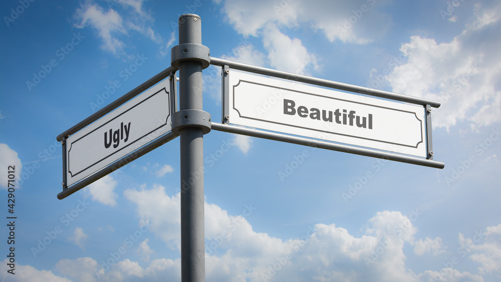 Fototapeta premium Street Sign Beautiful versus Ugly