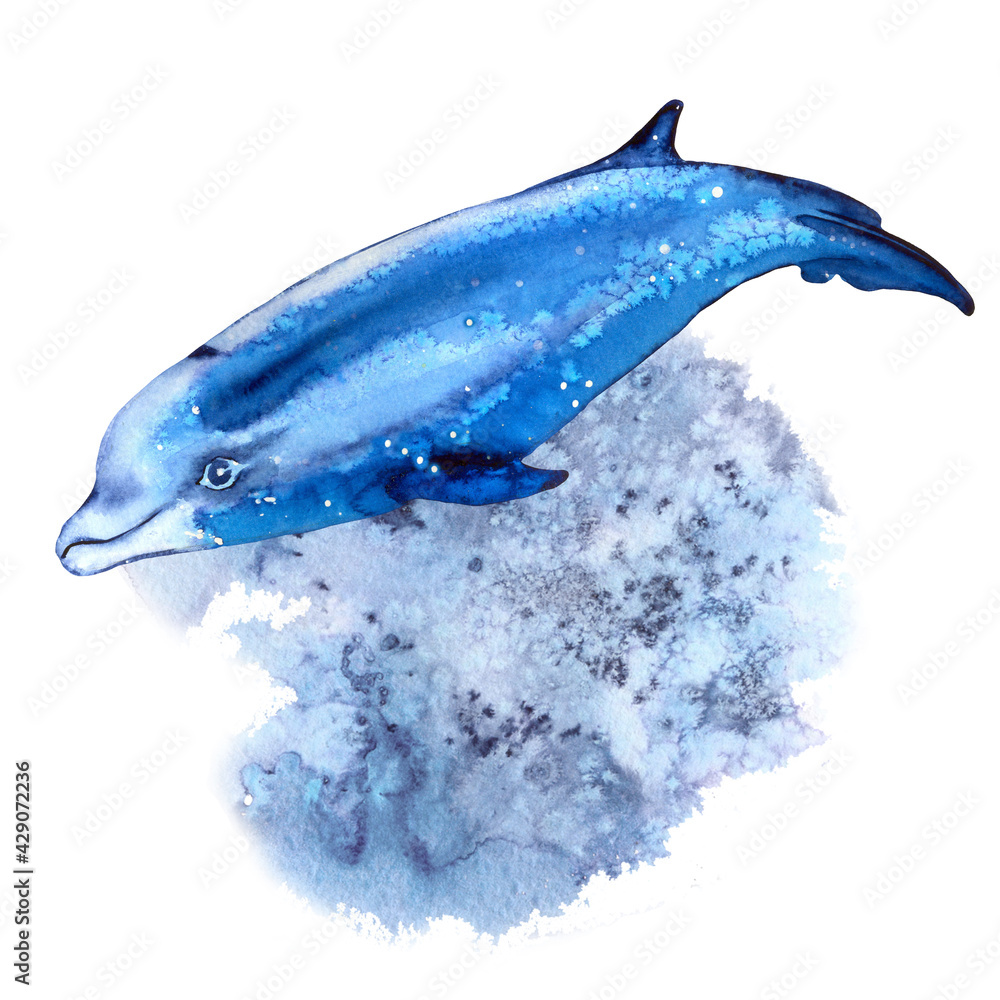 Dolphin isolated on a white background. Watercolor. Summer mood, sea, ocean.