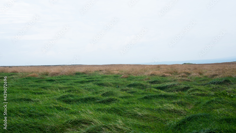 Beautiful irish landscape with green grass and dry grass on a windy day. Moher, Ireland Beautiful irish landscape with green grass and dry grass on a windy day. Moher, Ireland
