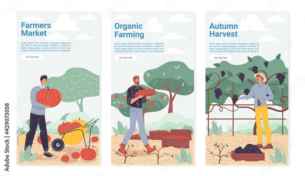 Vector cartoon flat farmer characters harvesting,workers harvest ...