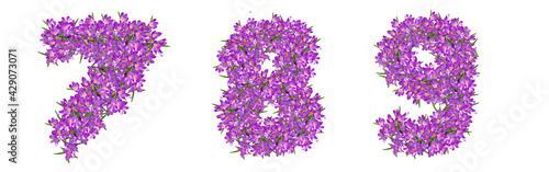 Numbers 7, 8, 9made of lilac violets
