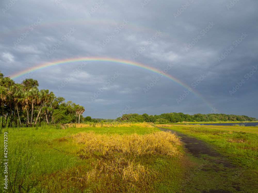 Naklejka premium Rainbow in a dark stormy sky over Myakka River State Park in Sarasota Florida USA