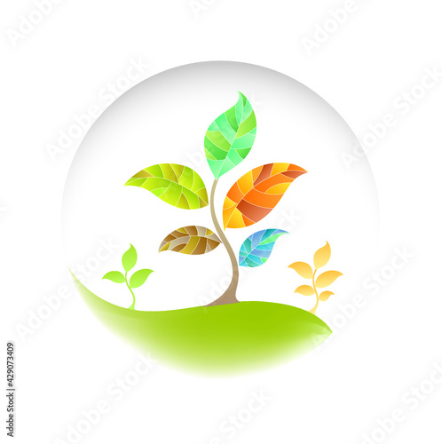Growing plant specimen in a aquarium or terrarium in an safe environment