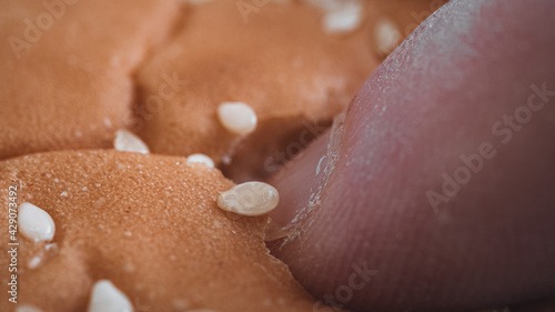 Great closeup of a Human finger trying to peel off a seed from a hamburger bun. 
