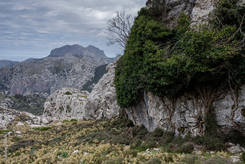 Tramuntana mountain range, Mallorca, Balearic Islands, Spain
