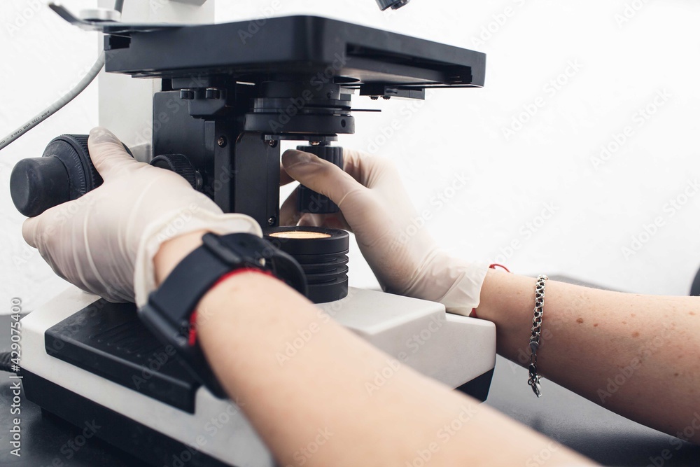 close-up of the hands of a laboratory assistant adjust the microscope for research close-up of the hands of a laboratory assistant adjust the microscope for research