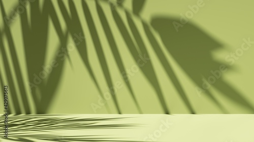Photos 3d render, simple abstract green background illuminated with bright sunlight, with palm leaf shadow