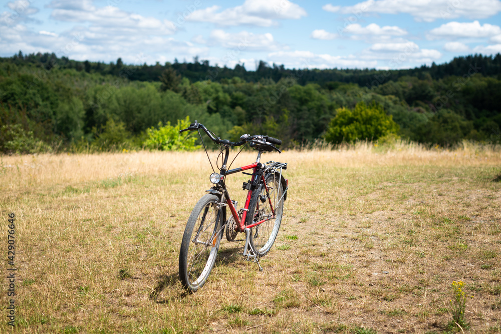 bike in natur fahrrad