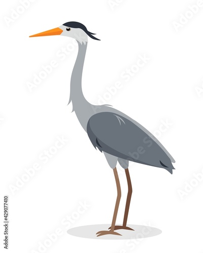 Standing Heron bird icon for nature design.