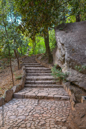 Old stone steps in the green park.