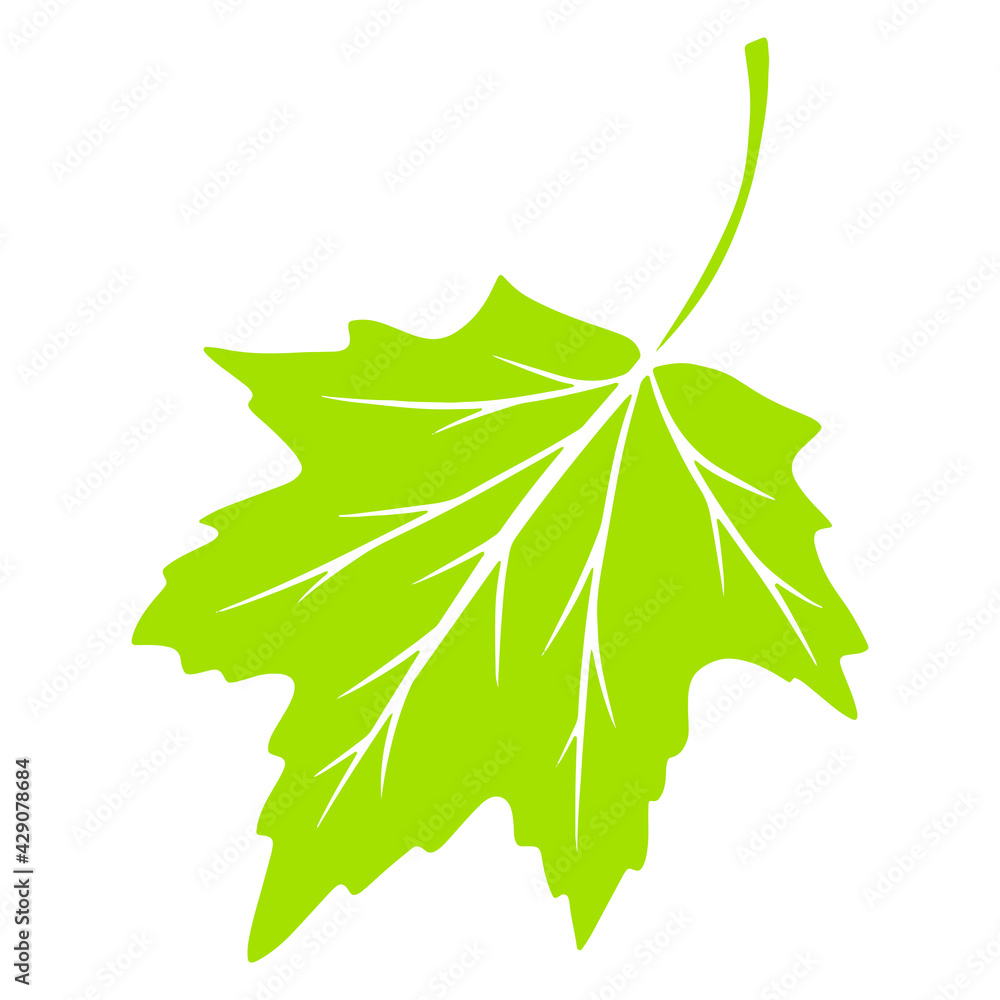 Fototapeta premium Leaflet. Carved leaf. Logo. Nature. Cartoon style. Illustration for design and decoration.