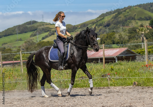 Happy woman riding black Lusitano horse, beautiful mare, outdoors. © Ayla Harbich