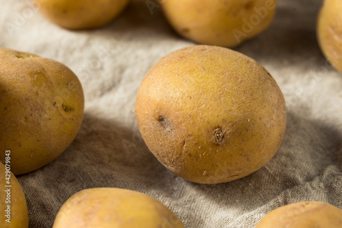 Raw Organic Yellow Potatoes