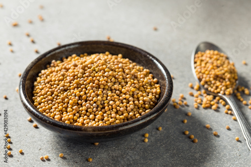 Raw Organic Yellow Mustard Seeds