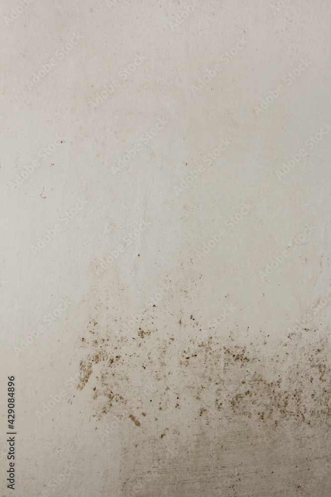 Fototapeta premium Shabby putty background. Vintage ancient background. Light shade textured old wall