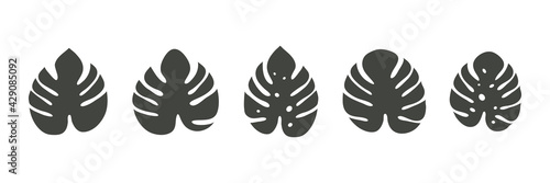 Monstera icon. Tropical leaves collection. Exotic jungle leaf. Monstera Deliciosa plants set. Vector illustration isolated on white.