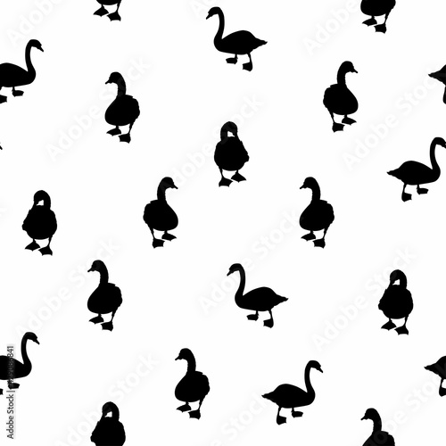 Beautiful seamless pattern with swans bird silhouette on white background.