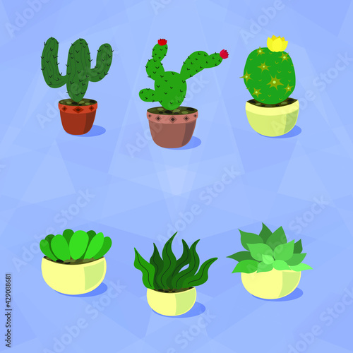 Cacti and succulents in pots on a blue background, vector illustration of houseplants.