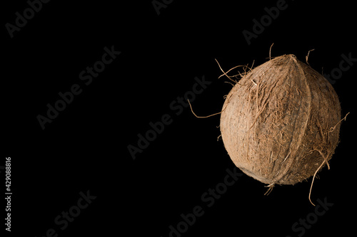 One whole ripe coconut, on black background, isolated