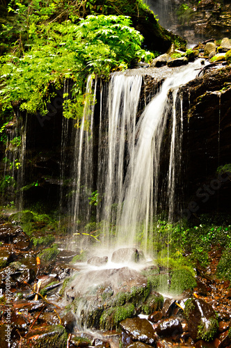 waterfall in the forest