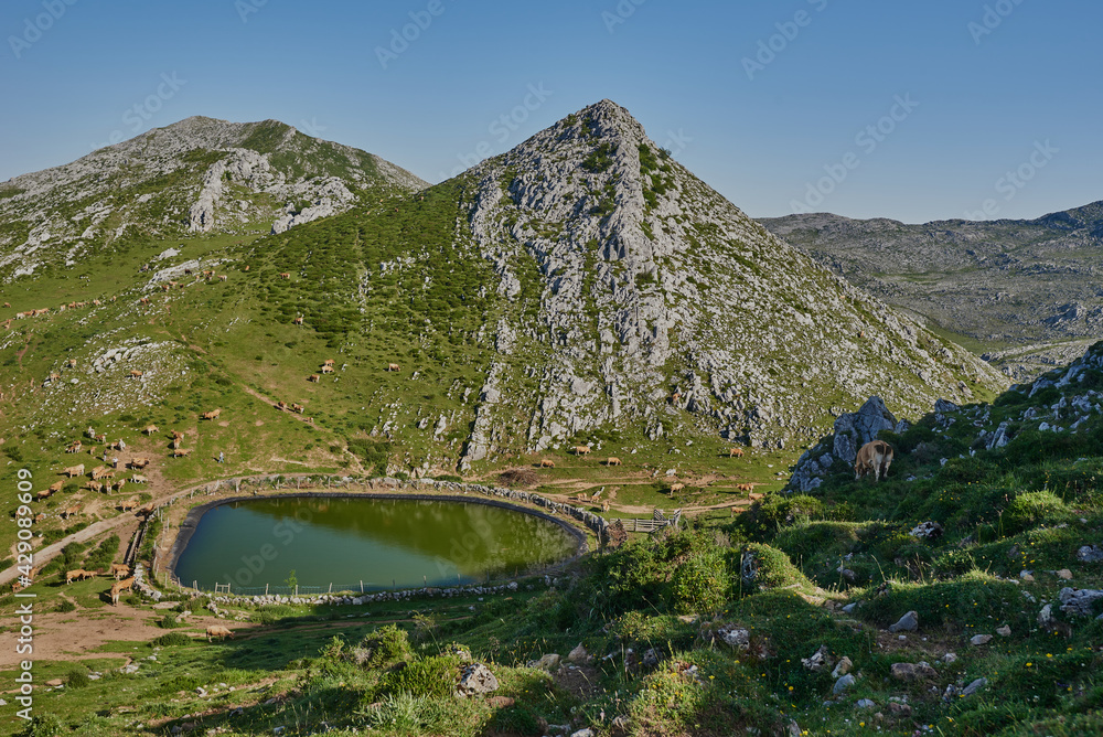 Fototapeta premium View of the Peña Sobia lagoon, in the council of Teberga (Teverga), in Asturias (Asturies)