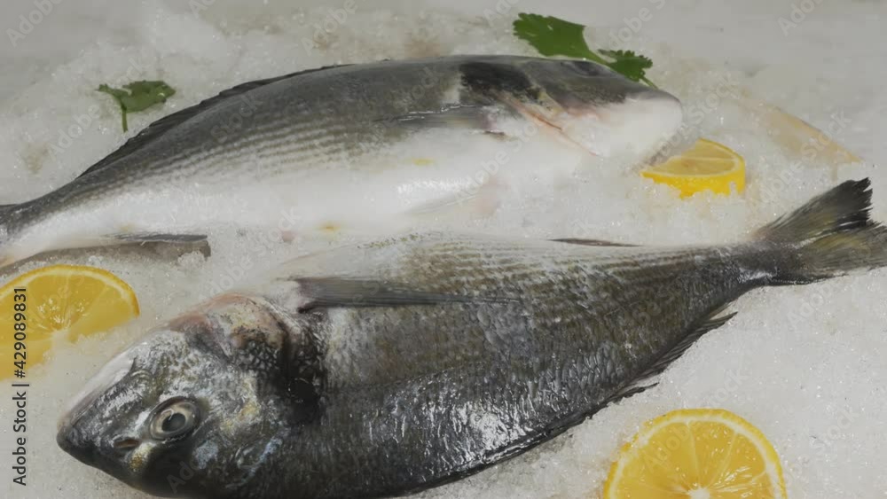 fresh chilled raw dorado with lemon and greens on the snow rotate. Close-up. Eating seafood to increase iodine in the body. fresh chilled raw dorado with lemon and greens on the snow rotate. Close-up. Eating seafood to increase iodine in the body.