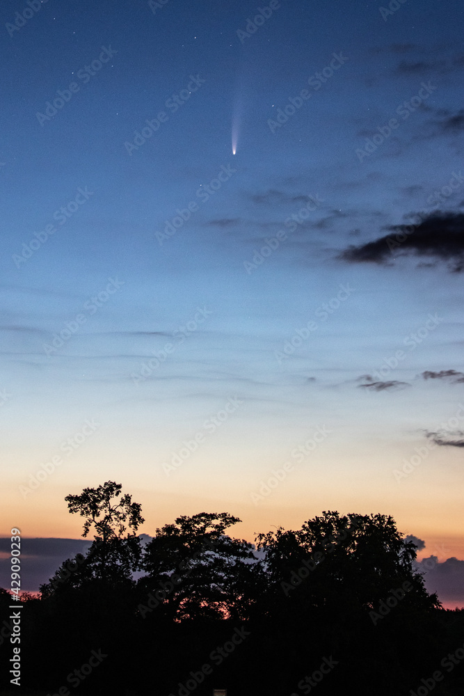 The neowise comet at the sunrise