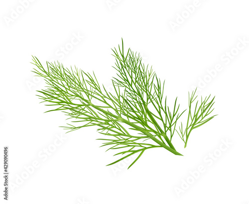 Dill Weed Realistic Composition