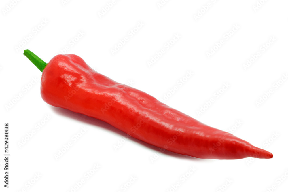Single long chili or sweet red pepper isolated on white background. Fresh vegetable.