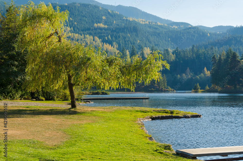 Fototapeta premium Green city park in Whistler, Vancouver, Canada.
