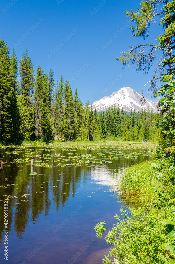 Majestic mountain lake with Mount Hood background in Canada.