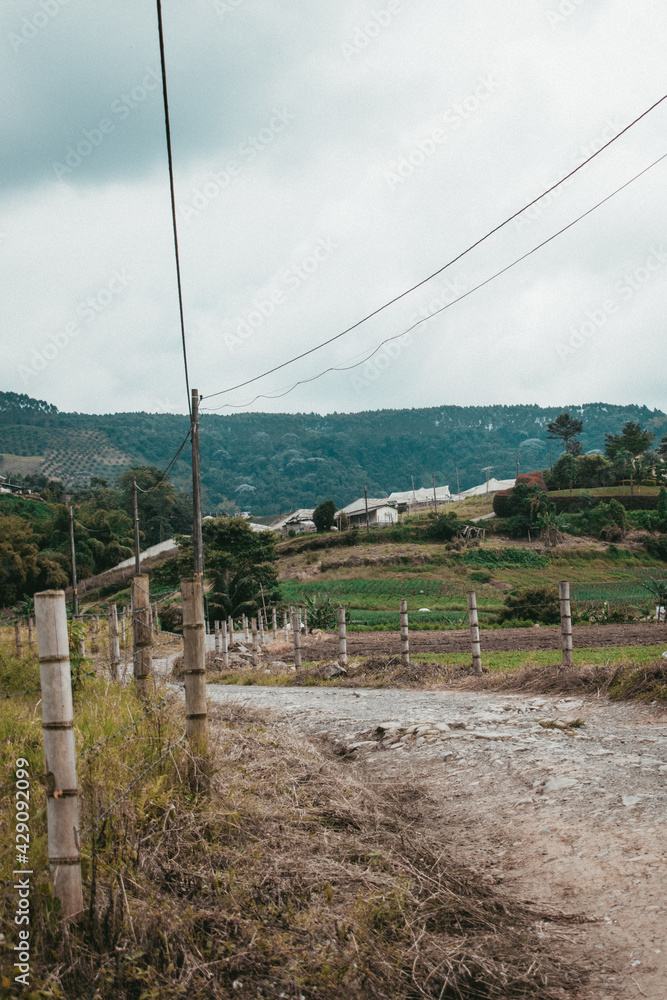Obraz premium rustic road in the mountain