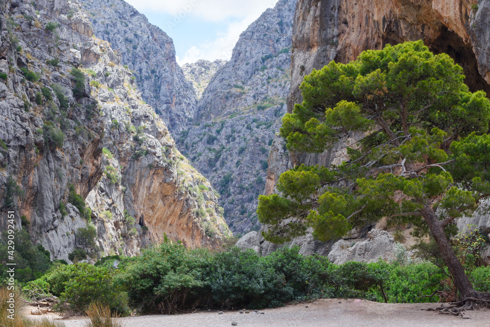 High rocky mountains in the gorge and bay of Sa Calobra, Spain. Travel to Majorca island.