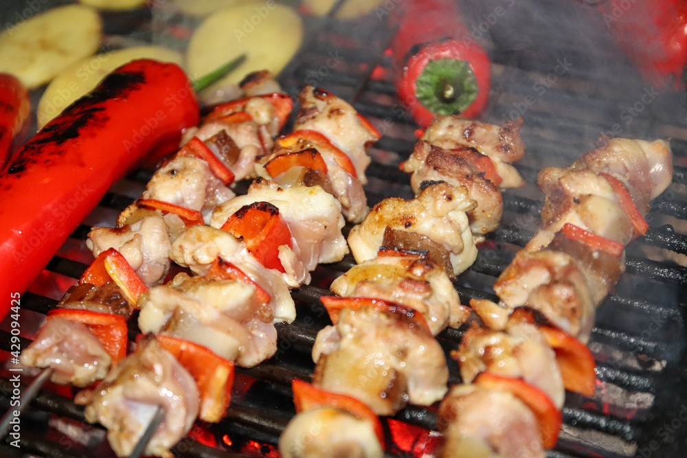 Grilled chicken skewers with fresh vegetables. Grilled chicken skewers with fresh vegetables.