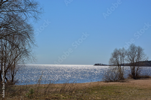 Lake view with glittering blue water in the sun and trees and green grass in the foreground. Spring view of the beach 